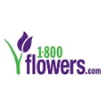 1-800Flowers - Stunning Flowering Plants For Decorating Offices