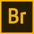 Adobe Bridge - Advanced Metadata And Filters Photo Management For Creative Content