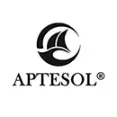 Aptesol - Lace-Up And Have Some Fun With Best Roller Shoes
