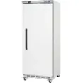 Arctic Air - Single Door Freezer with bottom mounted compressor and magnetic door baskets
