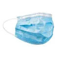 B&H GeriGentle - Customized Fit Disposable Masks With Pleated Designs