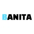 Banita - Provides Integrated Slider and Mega Menu Visual Builder