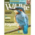 BBC Wildlife - Excellent Wildlife Magazine With Stunning Photographs