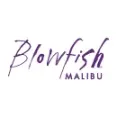 Blowfish - Perfect shoes With Comfort for an Active Lifestyle