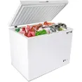 Bluelinetech - Compact Freezer Ideal for Storing Packaged Foods and Beverages