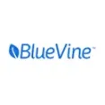 BlueVine - Trustworthy Banking System With Intuitive Interface