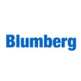 Blumberg - Get Entity Information Services For Customers