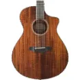 Breedlove Acoustic-Electric Guitar - Provides Extra Sustain For Greater Overtones
