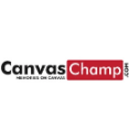 Canvas Champ - Advanced Colour And Lightening Feature