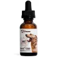 Essential CBD Oil - Specially Formulated Tincture Blends For Pet Digestive System