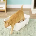 Chewy - Waterproof Disposable Litter Box For Large Lap Cats