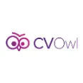 CVOwl - Graphics And Design Elements To Enhance Resume