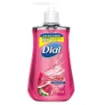 Dial - Get Sanitized With Convenient Liquid Soap