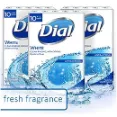 Dial - Features Antibacterial Deodorant Protection Technology