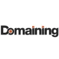 Domaining - Provide Relevant Domain Sale Report Data