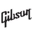 Gibson Brands - Classic And Multi-Color Guitar Collection For Musicians