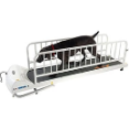 GoPet - Treadmill Supports Up To 175lbs