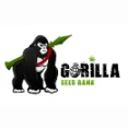 Gorilla Seeds - Total Mix Of Interplanetary Gorilliant Weed Seeds