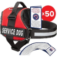 Industrial Puppy - Top-Mounted Handle Design Over Emergency Situations
