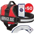 Industrial Puppy - Top-Mounted Handle Design Over Emergency Situations