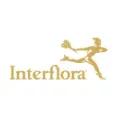 Interflora - Fresh And Beautiful Floral Bouquet