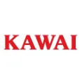 Kawai - Premium Quality Entry-Level Electric Pianos For Music Lovers