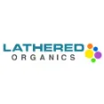 Lathered Organics - High-quality Chemical Free Ingredients Soap Subscription Box at Low Price