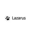 Lazarus Ide-Making Technology Work For You Computing Made Simple