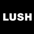 Lush Bath Bombs - Bath Subscription Box with handmade and natural products