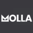 Molla - Flat Design Style Ecommerce Html Template With Ui And Ux Experience