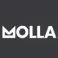 Molla - Flat Design Style Ecommerce Html Template With Ui And Ux Experience