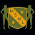 MSNL - Indica Strains Medical Seeds For Chronic Fatigue Patients