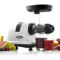 Omega J8006HDS - Make Delicious And Nutritious Drink For Your Family