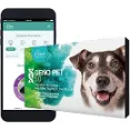 ORIVET Dog DNA Test kit - Easy-To-Use DNA kit with advanced proprietary algorithms