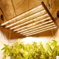 Phlizon - LED Grow Lights With Heat Control Technology