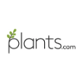 Plants.com - Fresh And Ready To Flourish Household Plants