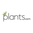 Plants.com - Fresh And Ready To Flourish Household Plants