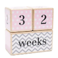 Lovely Sprouts - Mile Stone Blocks With A Matte Finish And Round Corners