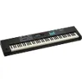Roland Digital Piano - Enhanced Performance With Battery Power Operation