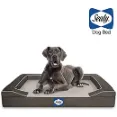 Sealy Dog Beds - Pro-charcoal Base Mattress Eliminates Odors And Keeps Bed Fresh