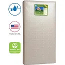 Sealy - Get Unparalleled Comfort And Back Support