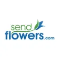 Sendflowers - Romantic Flower Boutique For Valentine Celebration Gift