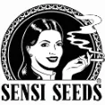 Sensi Seeds - Standard Cannabis Leaf Phyllotaxy For Plant Stem