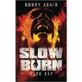 Slow Burn - Pretty And Amazing Well-Written Story Paperback