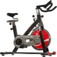 Sunny - Offers 4-way Adjustable Seat and Multi-grip Handlebars for Easy Workouts