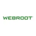 WEBROOT - Cybersecurity Solutions Enhances System Performance