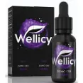 Wellicy Grape - CBD Hemp Oil With Refreshing Flavour Of Juicy Grapes