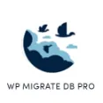 WP Migrate DB Pro - Migrate The Sites To Different Domains With Ease