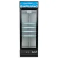 Xiltex Glass Door Freezer for Retail Merchandiser