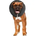 Zenpet - Durable Collar For Securing Of Smaller Necks